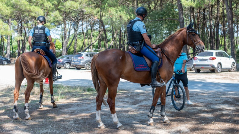 Agrandir l'image De dos, deux gendarmes à cheval sont stoppés devant la pinède, discutant avec un homme descendu de son vélo