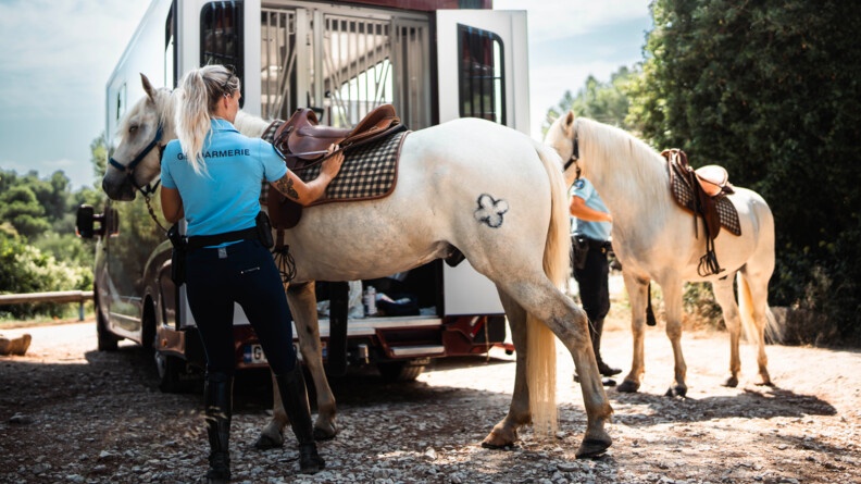 Gendarme préparant les chevaux au pied du van.