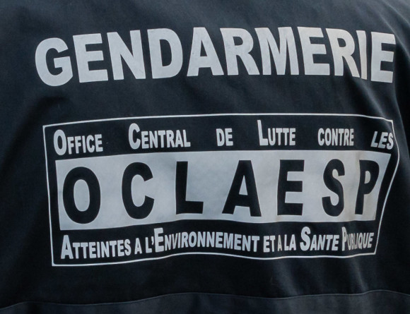 Agrandir l'image OCLAESP.jpg