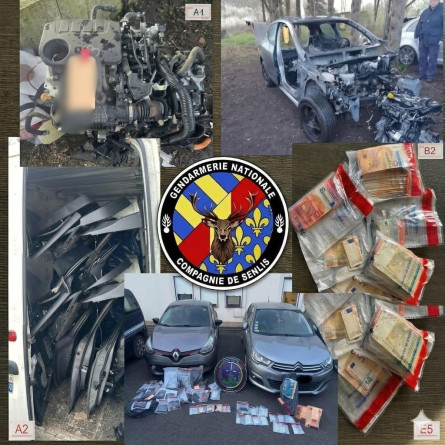 Agrandir l'image gfg.jpg