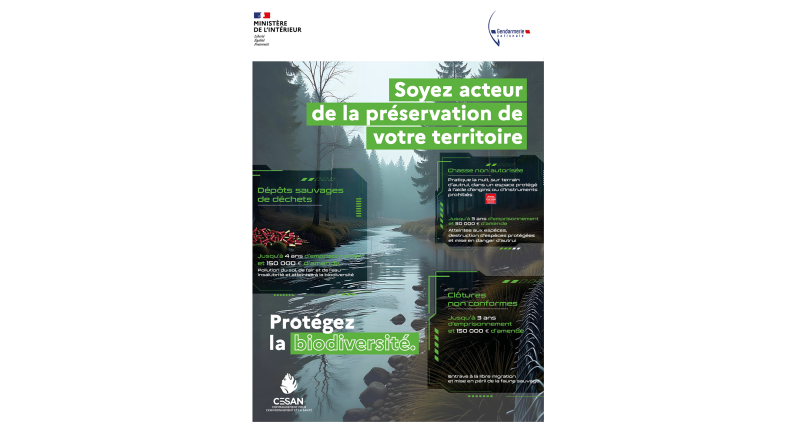 diapo-chasse2.png