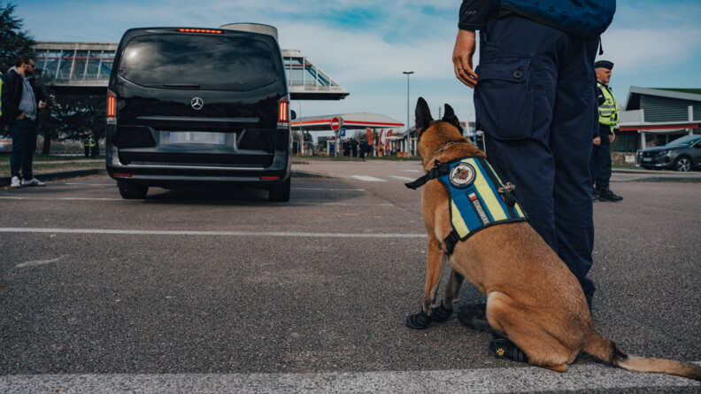 Photo d'un maitre chien et de son malinois sur le controle. En fond on observe un v&eacute;hicule noir, type VTC.