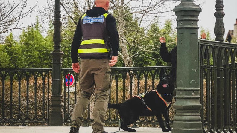 Un maître de chien de la gendarmerie de dos, en pantalon de treillis kaki, sweat noir et chasuble avec des bandes jaunes fluorescentes, avec un chien berger allemand noir qui se trouve devant une personne mains en l'air, cachée derrière un lampadaire.