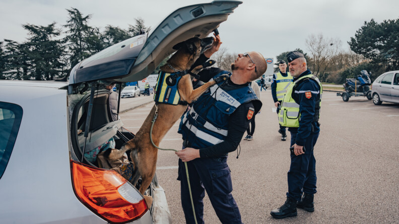 Plan large d'un gendarme, maitre chien et de son malinois en train de controler un v&eacute;hicule.