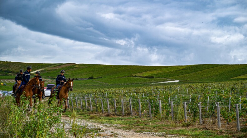 Devant un vaste paysage de vignes sous un ciel nuageux et gris, 4 gendarmes montés de la Garde républicaine, à gauche de la photo, s'avancent