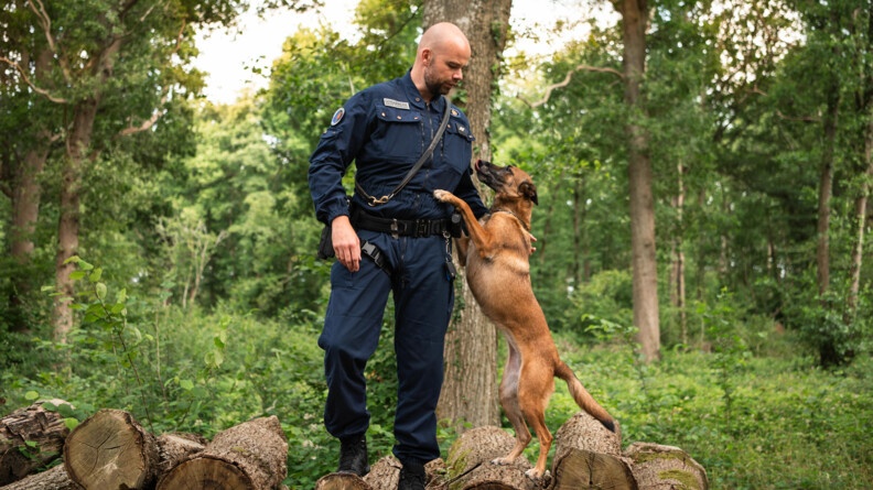 Agrandir l'image Photo d'un gendarme et de son chien. Le chien a deux pates sur son maitre. Ils se trouvent sur des bouts de bois dans la forêt.