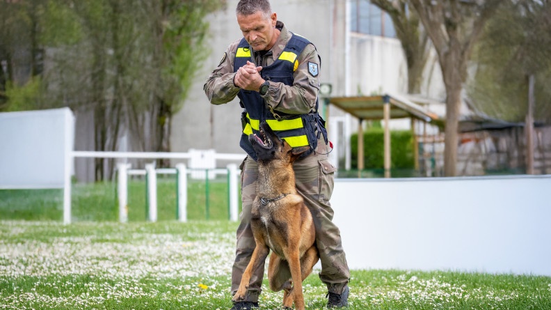 Un maitre de chein gendarmerie avec son mailinois qui le regarde