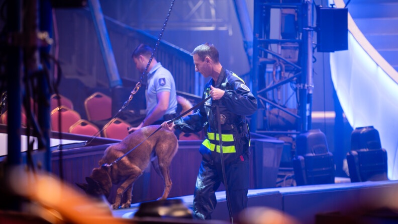 Dans un chapiteau, un maître chein et son berger belge malinois inspectent le sol, dans un lieu sombre, éclairé par des faiscaux lumineux. Derrière eux, se tient un gendarme qui inspecte des sièges de couleur rouge muni d'une lampe torche