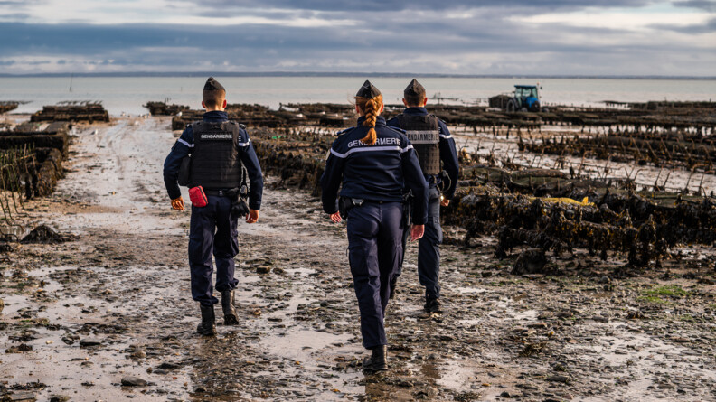 Agrandir l'image Trois gendarmes de dos marchent dans un parc ostréicole