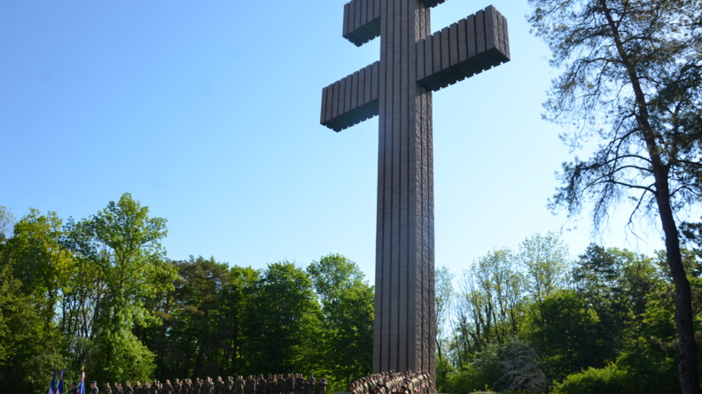 DSC_9498.JPG