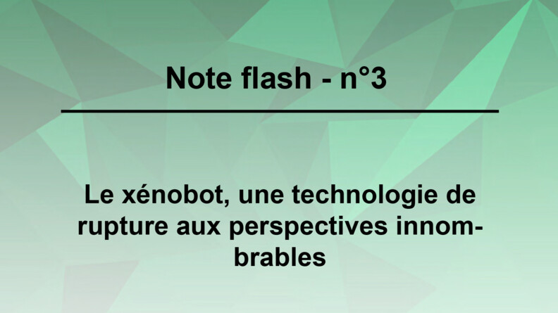 Agrandir l'image