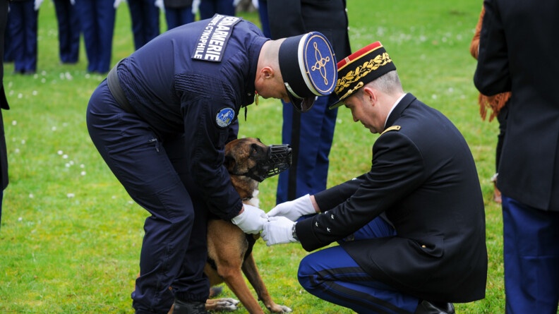 Le général commandant la région Nouvelle Aquitaine est agenouillé pour décorer un chien, lequel est muselé et assis au pied de son maître.