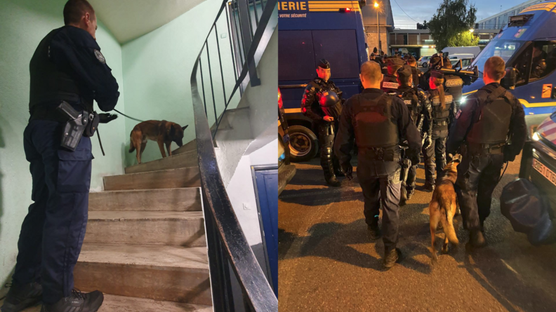Sur l'image de gauche un gendarme de dos avec son malinois en train de renifler les escaliers en colimaçon. Sur l'image de droite, un peloton de gendarmerie mobile en ville prêt à réaliser une interpellation (présence d'un chien, de matériel d'effraction lourde, et vue sur l'arrière et l'avant de deux véhicule de maintien de l'odre)