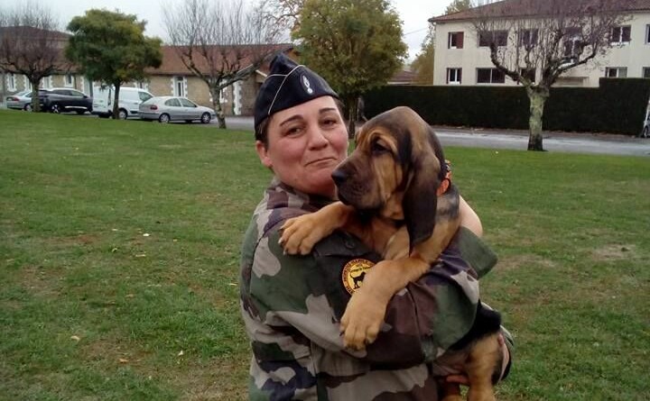 Agrandir l'image