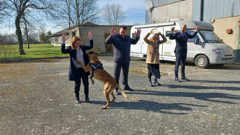 Agrandir l'image