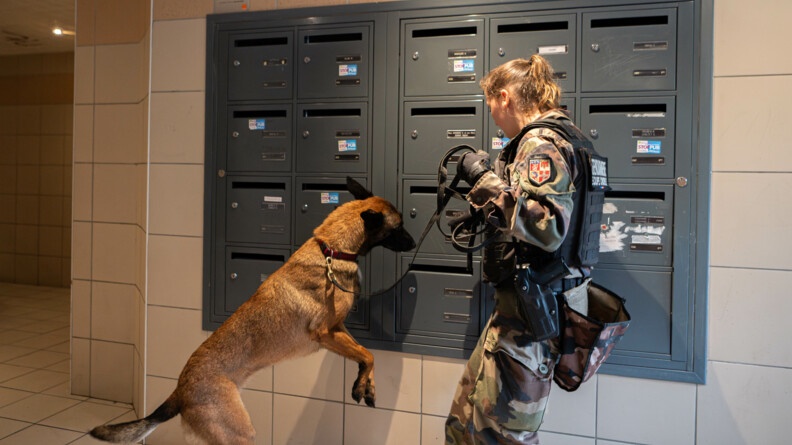 Agrandir l'image Une jeune jeune militaire, maître de chien, guide son malinois, dressé en direction des boîtes aux lettres, dans le hall d'un immauble d'habitation.