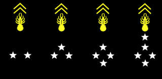 Agrandir l'image