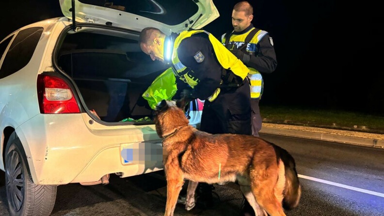 Deux gendarmes et un chien contr&ocirc;lent le coffre d'un v&eacute;hicule blanc.
