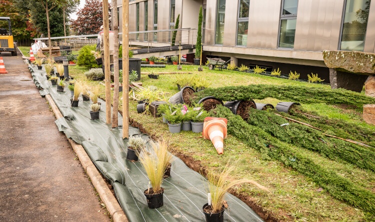 Photos d'une pelouse en travaux, sur laquelle sont dispos&eacute;s des plots en plastique orange et blanc ainsi que des bacs de plantes renvers&eacute;s, dans l'attente d'&ecirc;tre plant&eacute;s.