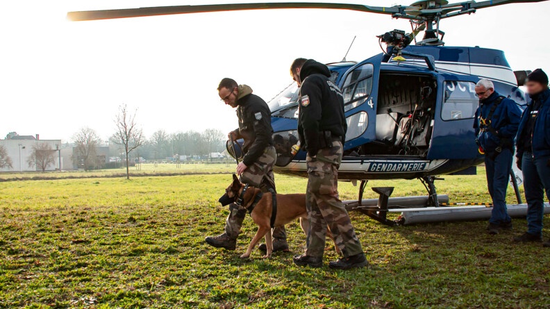 Agrandir l'image Un chien malinois marche dans l'herbe entouré de deux gendarmes, au pied d'un hélicoptère gendarmerie