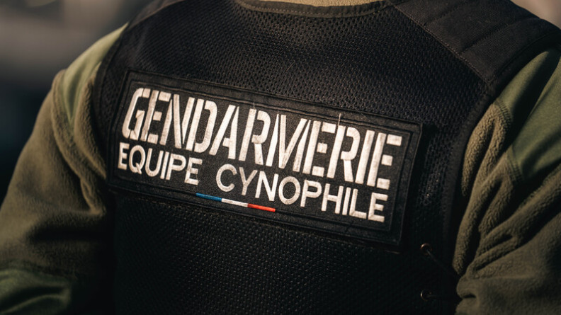 Agrandir l'image Photo d'un gendarme de dos, portant un gilet noir, avec écrit dans le dos "Gendarmerie - Equipe cynophile"