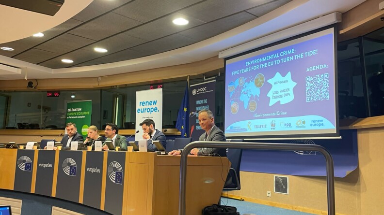 Agrandir l'image Cinq personnes, soit quatre hommes et une femme, sont assis sur une estrade. Derrière eux est projetée une présentation, sur laquelle il est écrit : "Environmental crime : five years for the EU to turn the tide!"