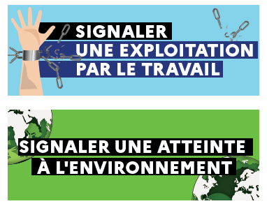 Agrandir l'image
