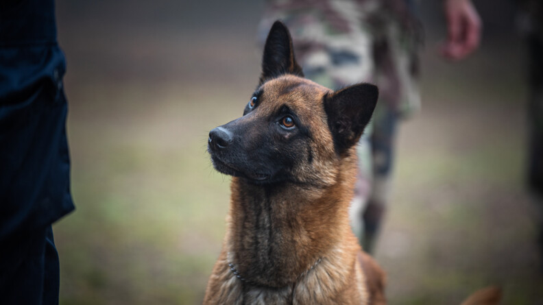 Exercice EOGN AMSCC (3).jpg