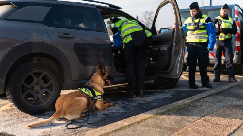 Un malinois allongé au pied de la voiture grise; un gendarme portant une chasuble fluo se penche dans l'habitacle