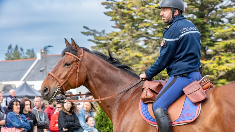 Cavalier de la garde républicaine au premier plan, sur son cheval, et au second des visiteurs et un grand arbre, à droite.