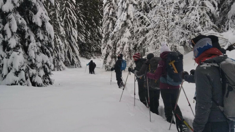 Six personnes de dos marchent l'une derrière l'autre sur en sol enneigé, au milieu des sapins enneigés. Tous sont chaudement vếtus, et sont équipés de bâtons de marche.