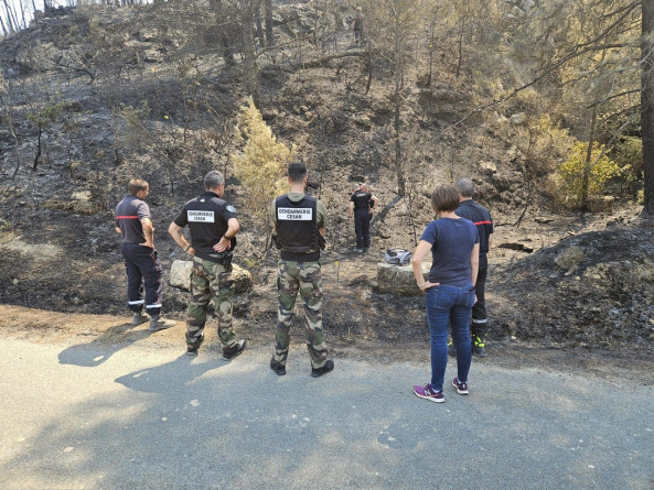 Les gendarmes du CESAN, des enqu&ecirc;teurs et les pompiers m&egrave;nent des investigations sur une zone calcin&eacute;e