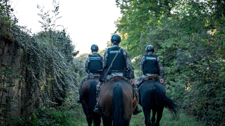Trois cavaliers, que l'on voit de dos, &eacute;voluent sur un chemin bois&eacute;