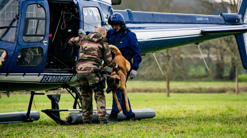Agrandir l'image Un chien malinois en train de sauter d'un hélicoptère gendarmerie posé au sol, tenu par son maître et un pilote gendarmerie