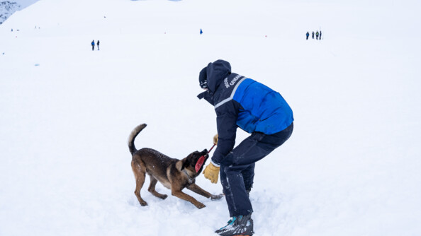 Au milieu d'une montagne enneigée, un hommese tient debout, de dos, vêtu d'une tenue de ski de couleur bleue. Son corps est incliné vers le sol, en direction d'un berger belge malinois,auquel il donne un jouet rouge, que l'animal tient dans sa gueule