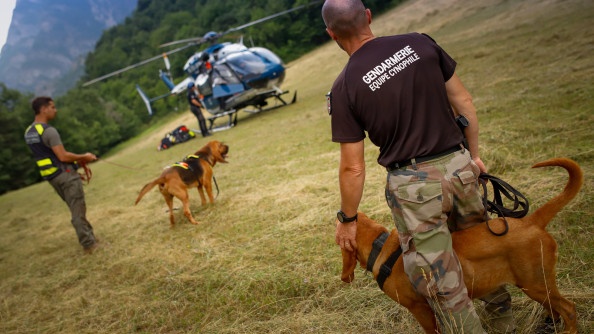 Deux chiens devant l'hélicoptère de la gendarmerie.