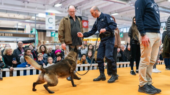 Un chien en compagnie de son maître fait une démonstration. Plusieurs personnes du public ont été choisies pour monter sur l'estrade et y participer. Ils se tiennent tous debout, en ligne.