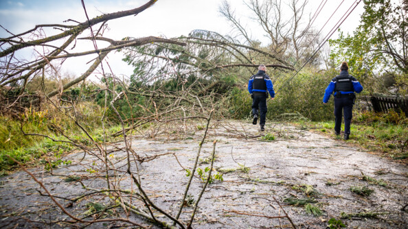 Deux gendarmes vus de dos, un homme, à gauche, et une femme, à droite, marchent sur une route où des arbres sont tombés, emportant avec eux des câbles électriques et coupant la circulation.