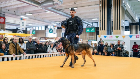 Un gendarme d'une équipe cyniphile aux côtés de son chien.