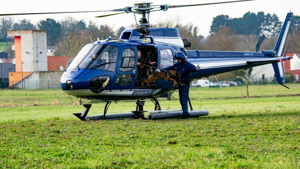 Un chien malinois en train de sauter d'un hélicoptère gendarmerie posé au sol