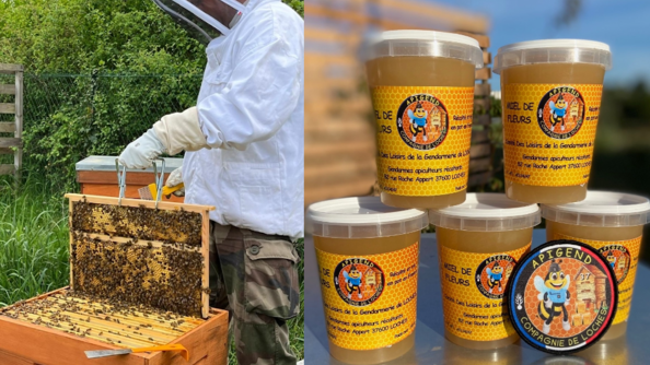 A gauche : un gendarme apiculteur de la compagnie de gendarmerie de Loches, récolte du miel sur une ruche. A droite : cinq pots de miel produits par la compagnie, avec la rondache Apigend.gné est réinvesti pour l'achat des cadeaux de Noël des enfants des gendarmes de la compagnie, via le comité des loisirs.