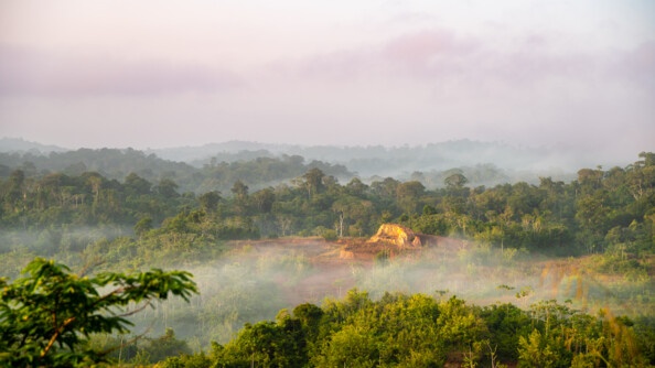 Forêt Guyanaise avec un site d'orpaillage.