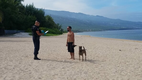 les militaires de l'escadron de gendarmerie mobile sillonnent tout le territoire.