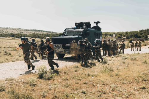 8 Exercice interarmée Fréjus.jpg
