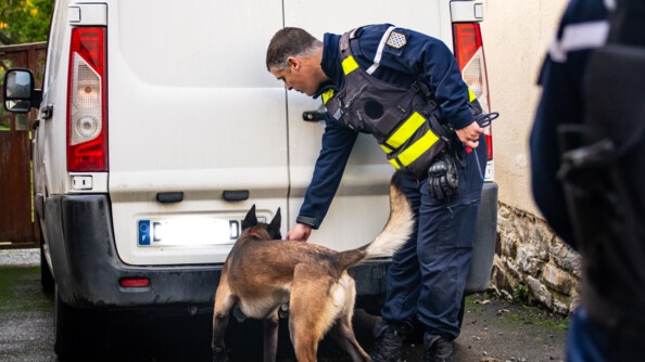 Équipe cynophile de la gendarmerie recherchant des produits stupéfiants aux abords d'un véhicule à l'occasion de l'opération "tempête 35"
