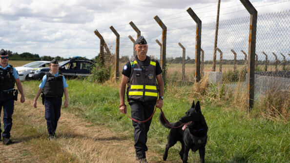 Au premier plan, un gros chien noir qui tire la langue en regardant sur le côté gauche. Il est tenu en laisse par un gendarme coiffé d'un calot et vêtu d'un pantalon noir et d'un t-shirt noir, recouvert d'une chasuble gris foncé portant des bandes réfléchissantes fluo. Derrière lui, deux autres gendarmes vêtus d'un polo bleu clair. Les trois gendarmes avancent dans l'herbe. A leur droite une clôture haute surmontée de barbelés. Derrière eux en fond, garés côte à côte, de profil, un véhicule gendarmerie et un véhicule blanc.