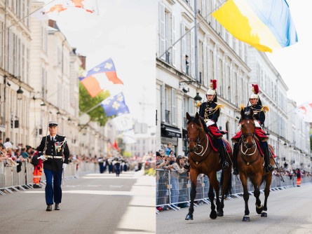 (778 sur 926)-imageonline.co-merged.jpg