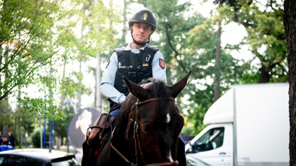 Un cavalier de la garde républicaine sur son cheval, patrouille dans un bois. Juste derrière lui, on devine une route sur laquelle circulent un camion blanc et deux véhicules de couleur sombre. Tout à gauche de l'image, on aperçoit, flouté, un gendarme en tenue.