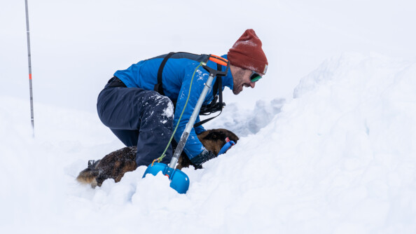 Sur un sol enneigé, un homme vêtu d'une tenue de montagne bleue et d'un bonnet marron, est accroupi, le corps incliné vers une cavité creusée dans la neige. Entre ses jambes; on aperçoit un berger belge malinois.