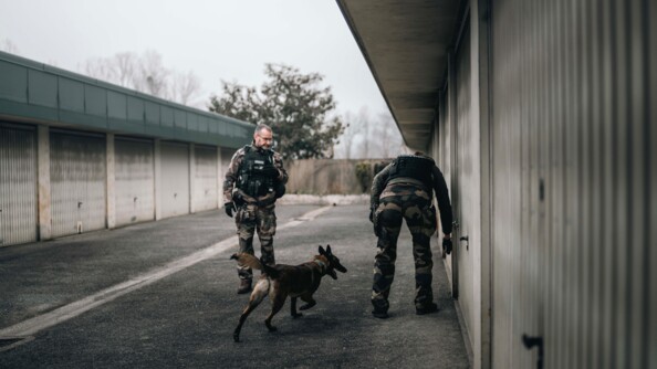 Deux gendarmes et un chien (race malinoise) inspectent les portes d'un box.